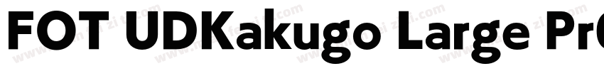 FOT UDKakugo Large Pr6N U字体转换